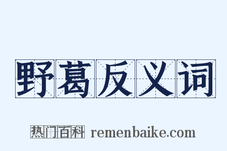 野葛反义词是什么意思的图片